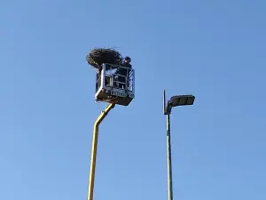 IMG_20250308_085849